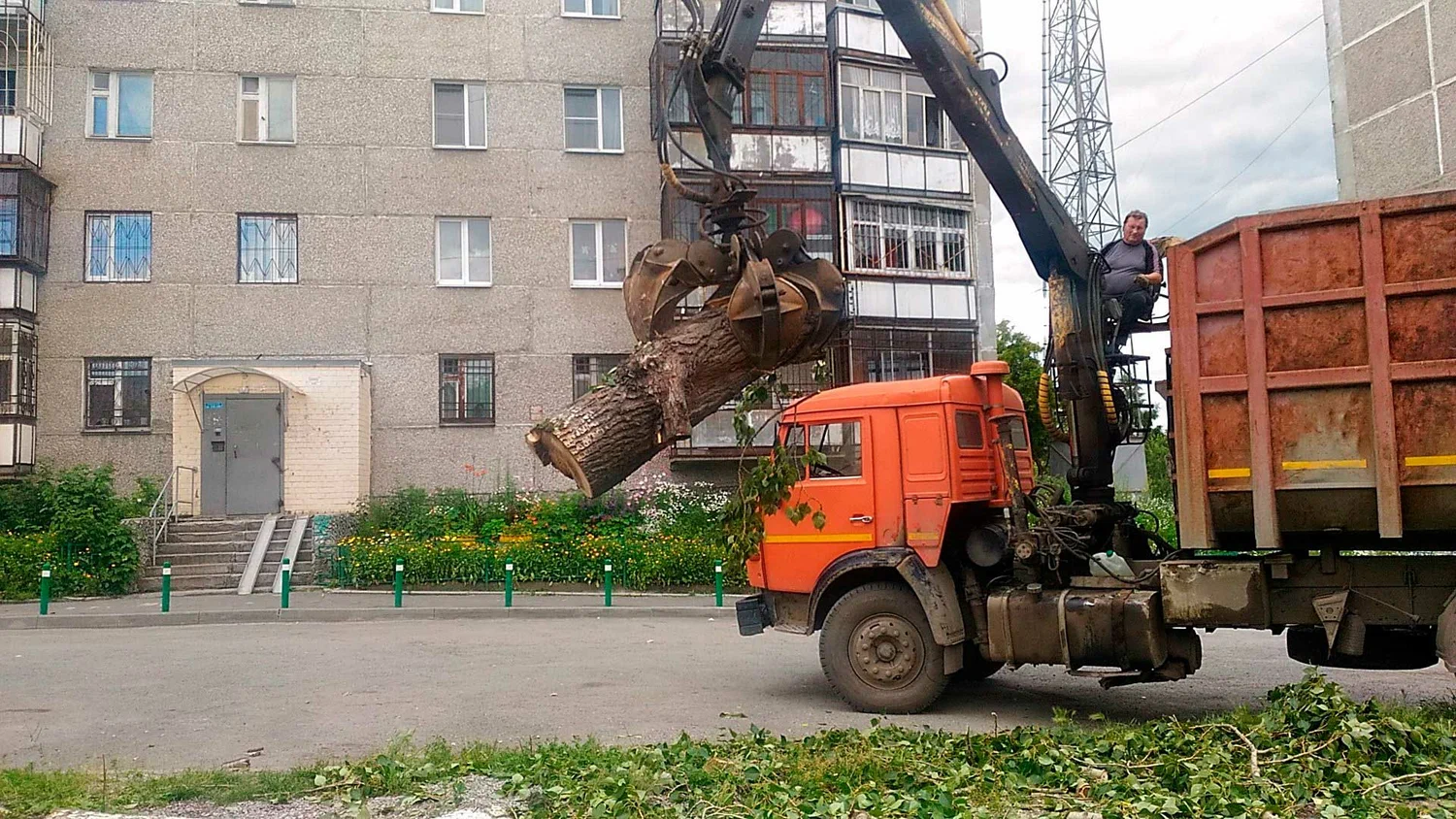 Вывоз спиленных веток и деревьев в Краснодаре от ПроМусор: порубочные остатки, утилизация, цена от 2993 руб
