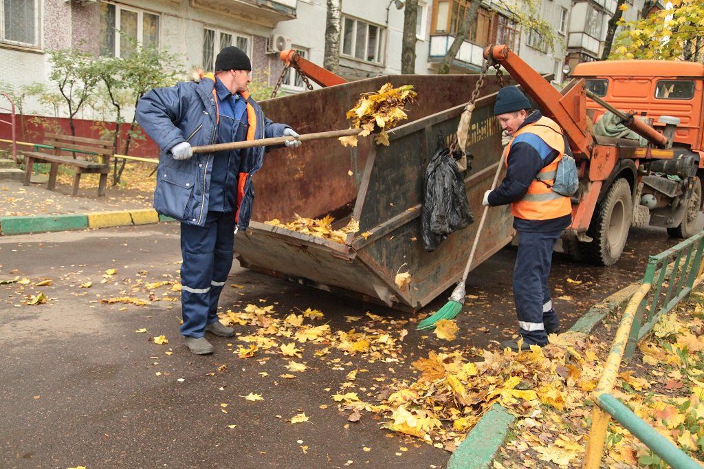 Вывоз опавшей листвы и растительного мусора в Краснодаре от ПроМусор – цена от 4644 руб., быстрая уборка и утилизация